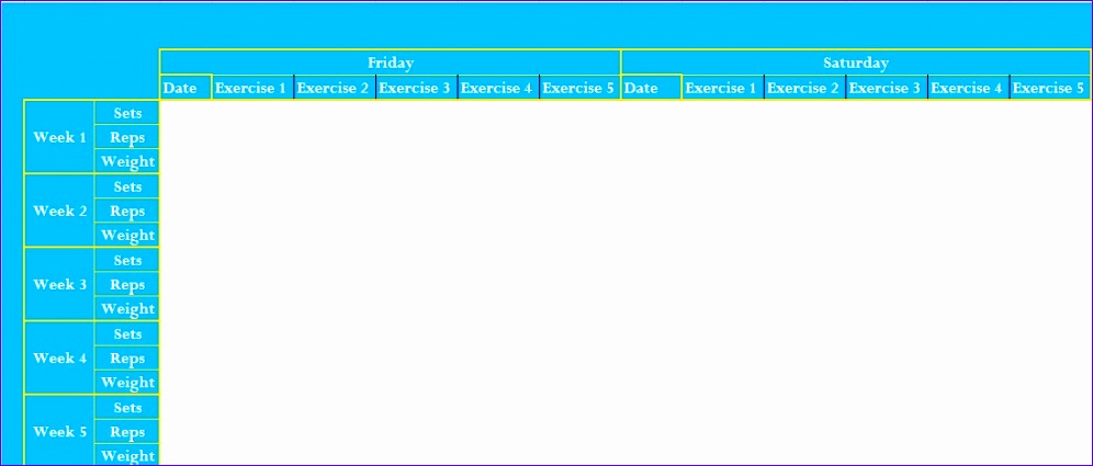 professional exercise log template excel