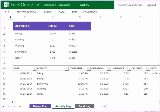 free fitness plan template excel online