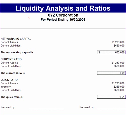 liquidity analysis ratios 31 500461