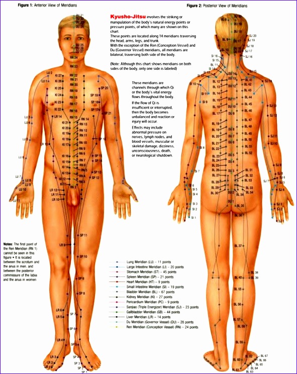 free printable pressure point charts