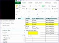 12 issues Log Template Excel