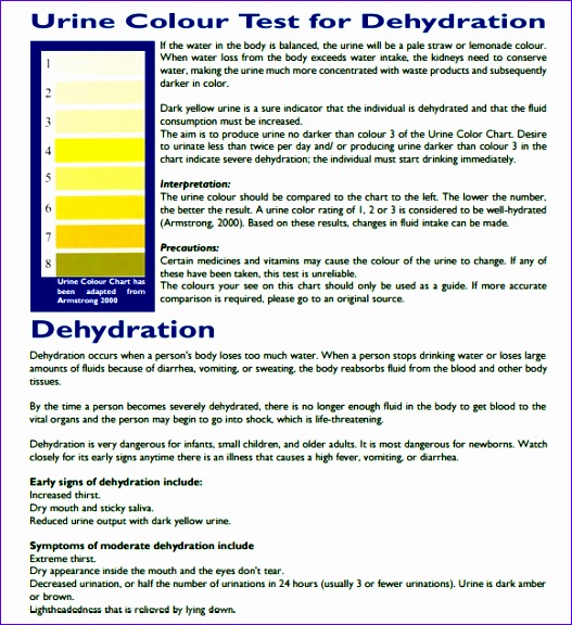 urine color chart 527576