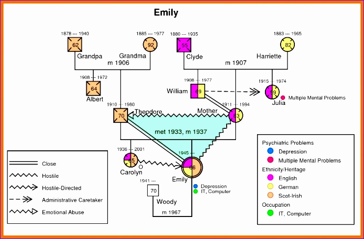 5 example of a genogram 394g2 5 example of a genogram 742488