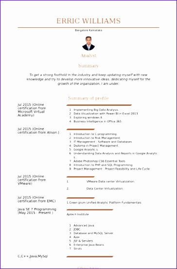 it analyst cv examples 364552