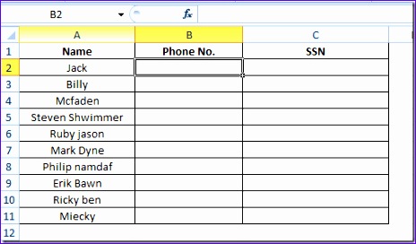 excel 2010 add standard phone social security numbers ssns 464272