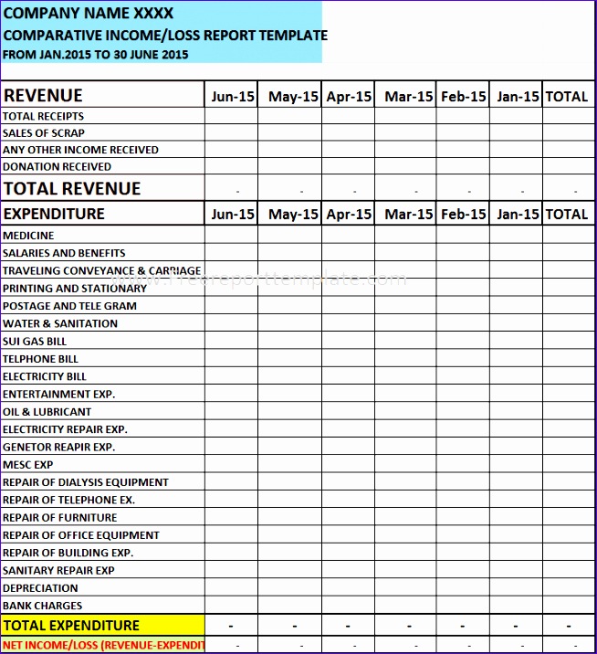 parative Profit & Loss Report Template – Free Report 167j1 parative profit loss report template 654716