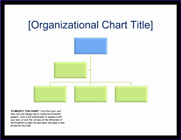 blank organizational chart samples