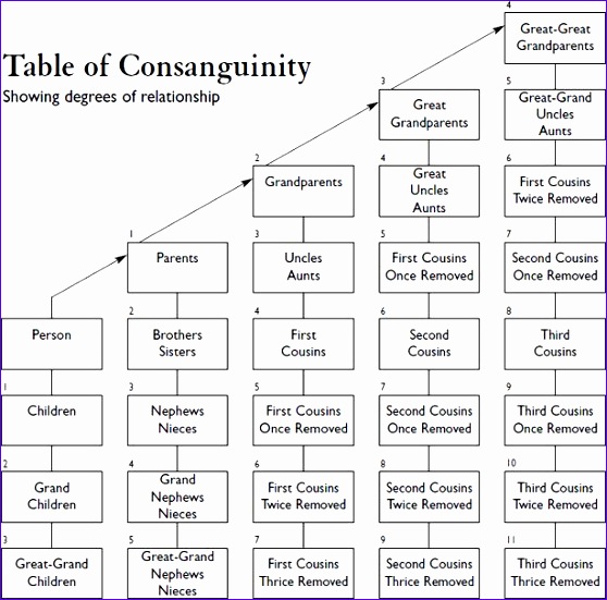kinship terminology how we refer to our family relationships