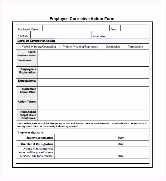 corrective action plan template free 206