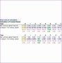 10 Project Finance Template Excel