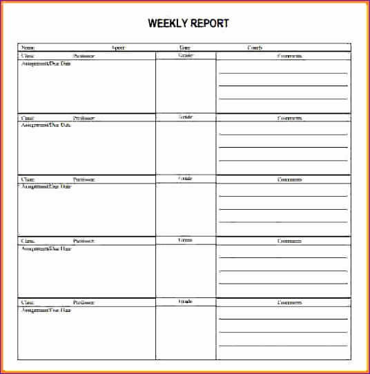 weekly activity report template 536542