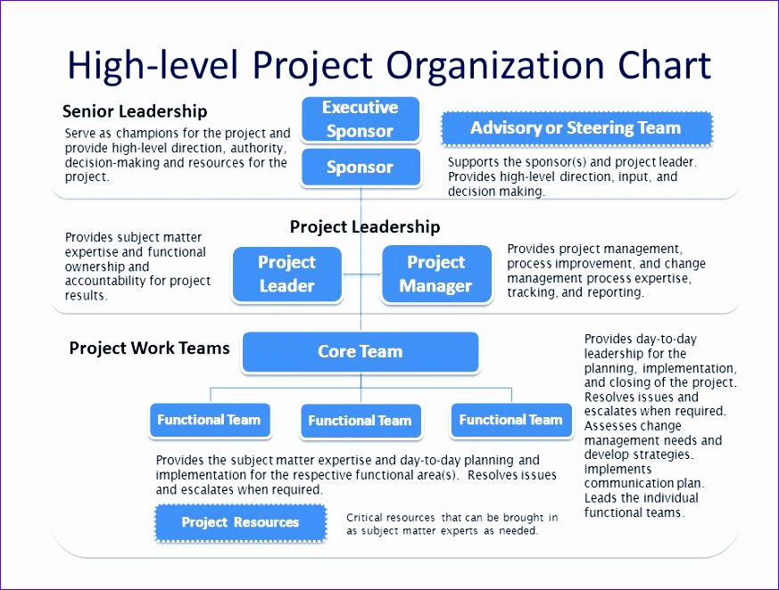 project organization chart 873662