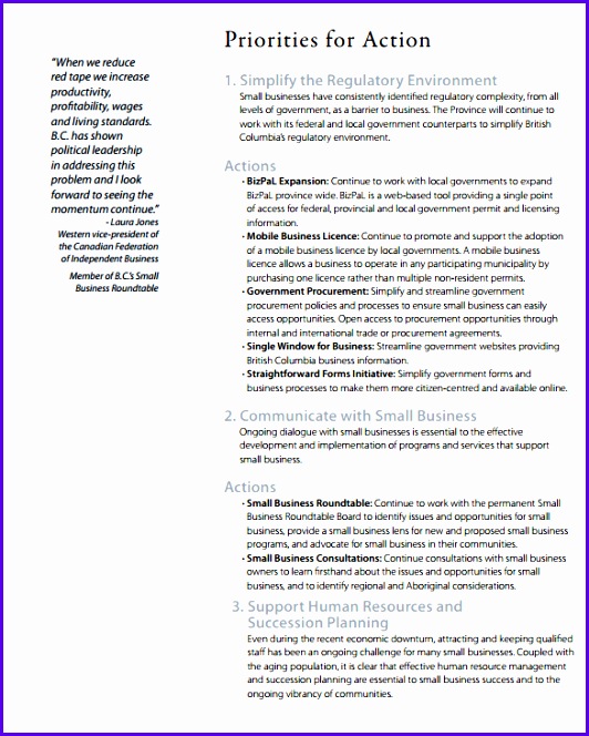Business Action Plan Template – 10 Free Sample Example Format 532664