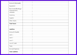 Balance Sheet Excel Template Mac Accounting Sheet Template Excel Template Balance Sheet 273193