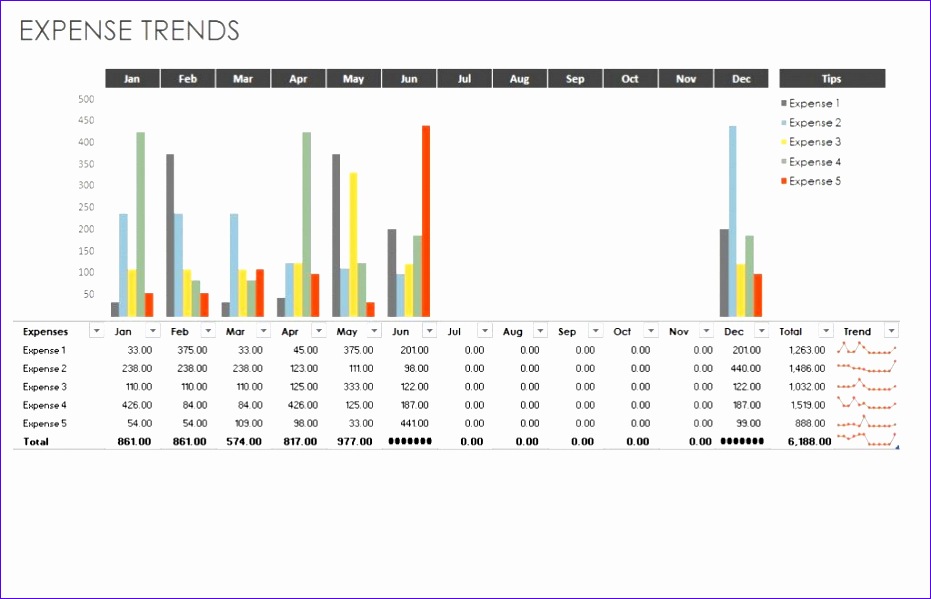 expense trends bud template 931599