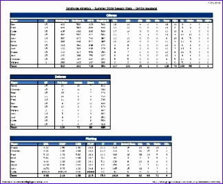 baseball individual stat sheet template 324267