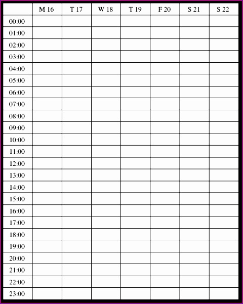 5 weekly hourly calendar bookletemplate 799g1 5 weekly hourly calendar 480601