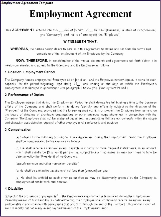 8 employment contract template
