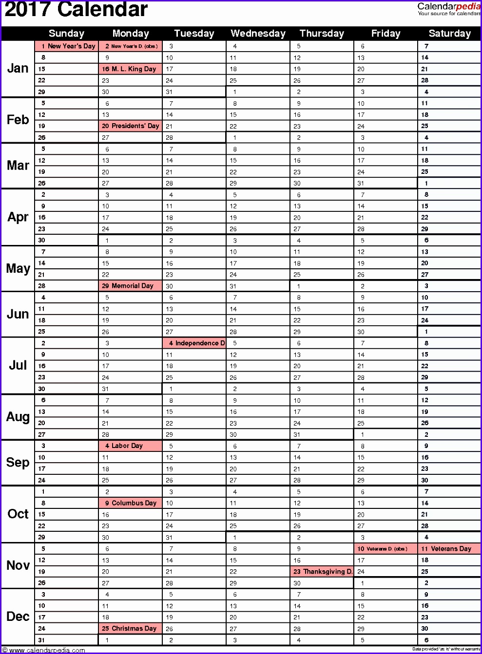 2017 Daily Calendar Template Excel 9891343