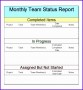 12 Weekly Report Template Excel