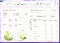8 Budget Template In Excel