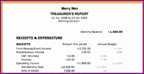 non profit treasurer report template excel 500257
