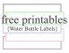 Free Water Bottle Label Template