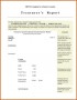 Non Profit Treasurer Report Template