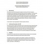 Technical Report Template