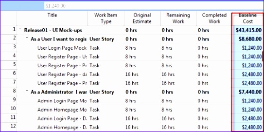UseMSProjectTrackProjectBud Usage 543271